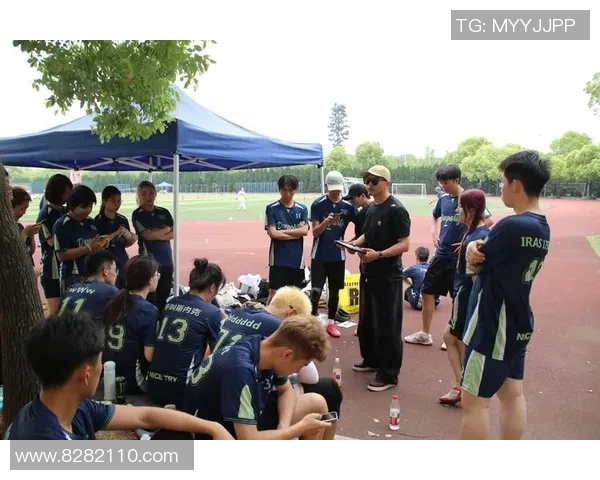 杭州飞盘队在转换得失中的表现分析与未来展望