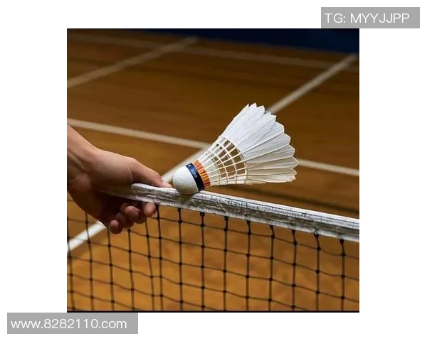 羽毛球新手必看入门攻略轻松掌握技巧与战术提升游戏乐趣