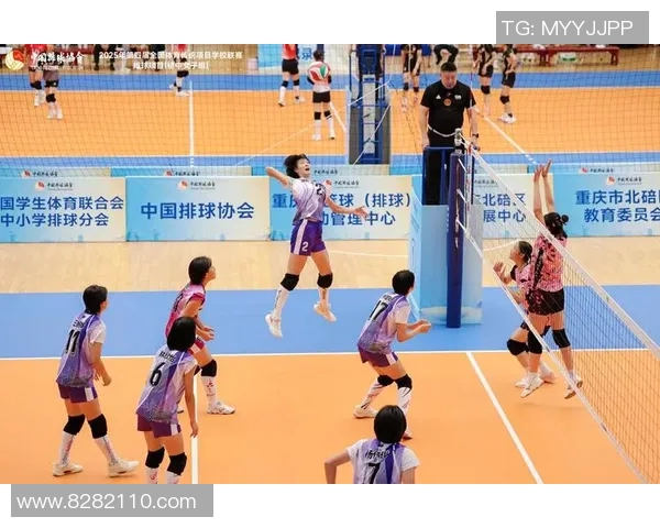 运动最新数据排球战术分析与西安排球队盯防体系的有效实施策略探讨